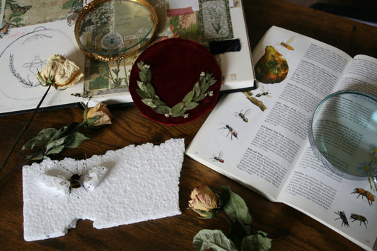 The Studio Journal