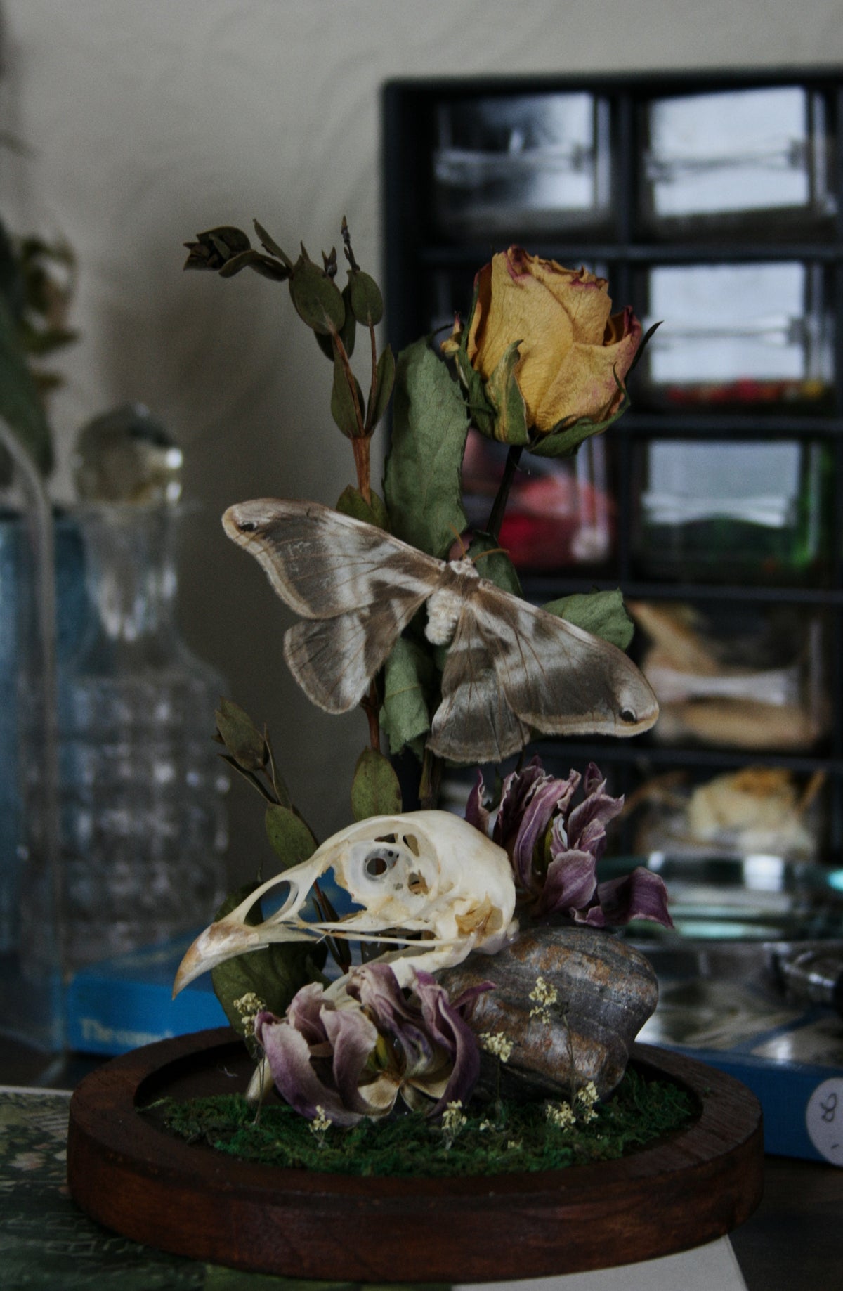 Study III