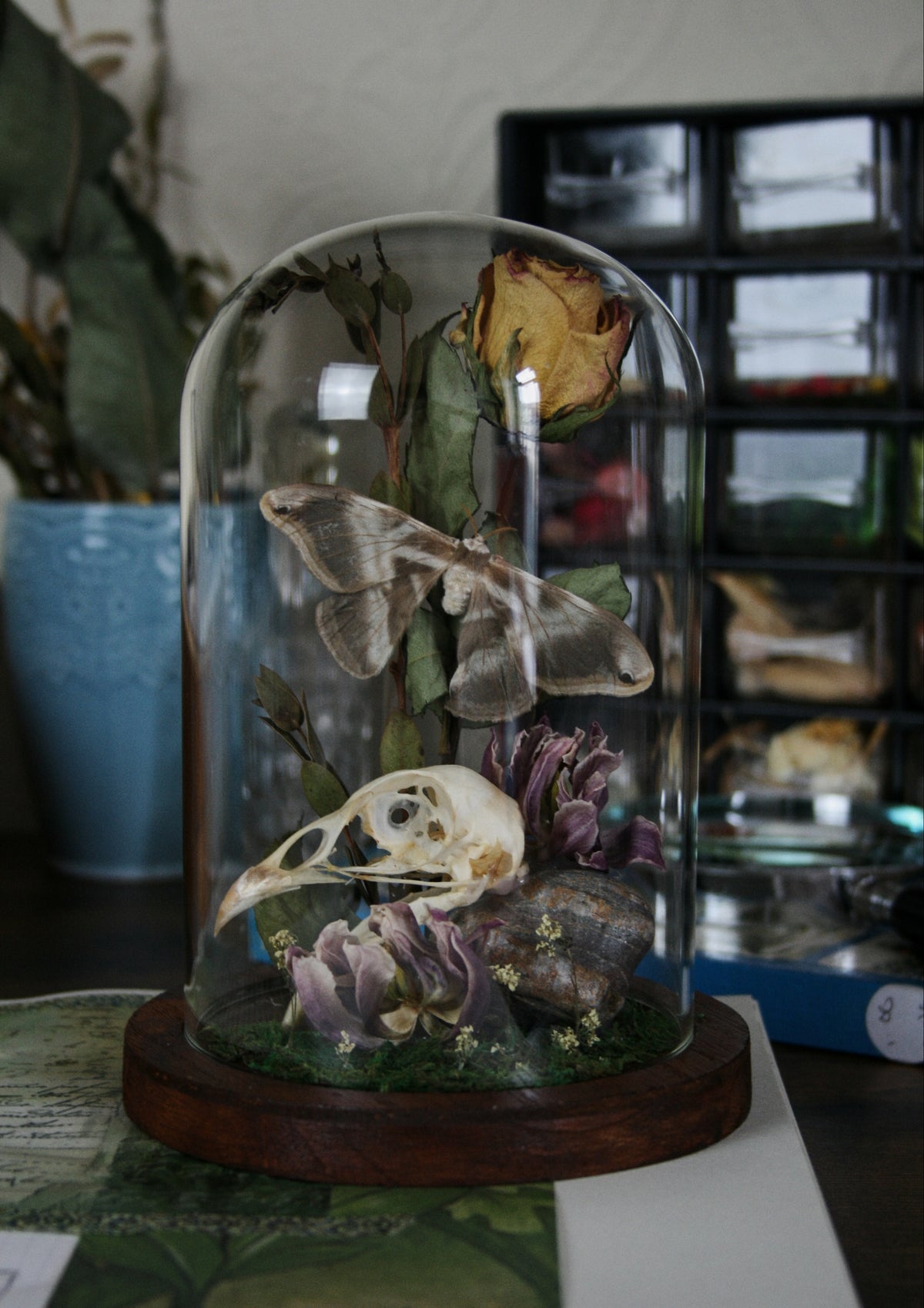 Study III