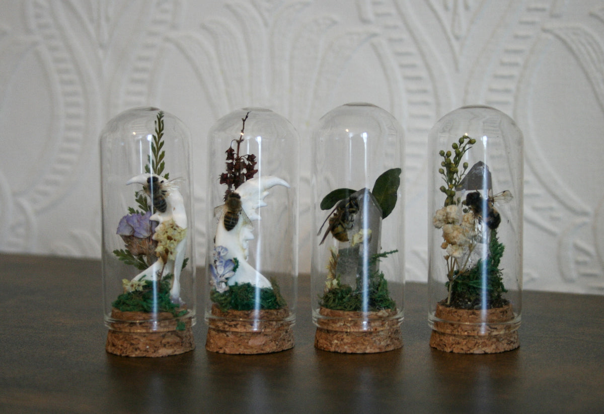 Mixed oddity mini domes