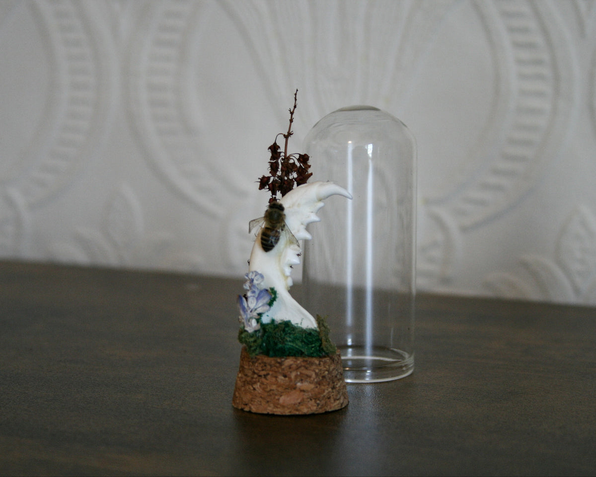 Mixed oddity mini domes
